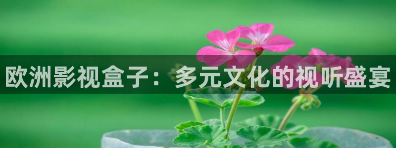 谍战深海之惊蛰免费观看西瓜