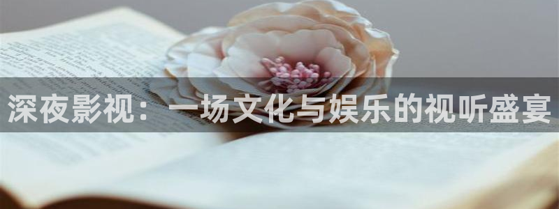 老九门免费观看完整版西瓜
