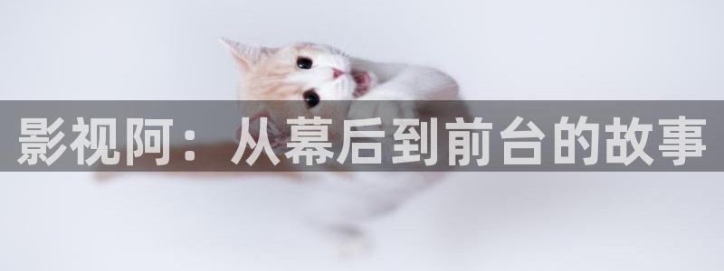 西瓜视频电影