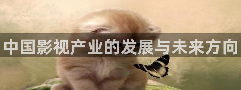 南风知我意西瓜免费观看完整版