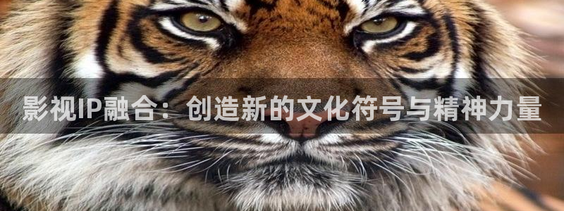 西瓜视频片免费