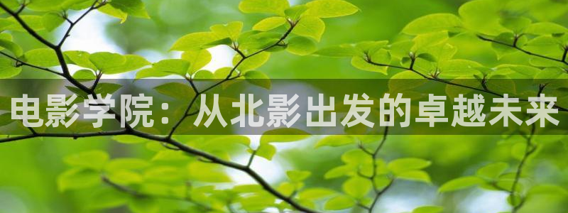 幕后之王免费观看西瓜