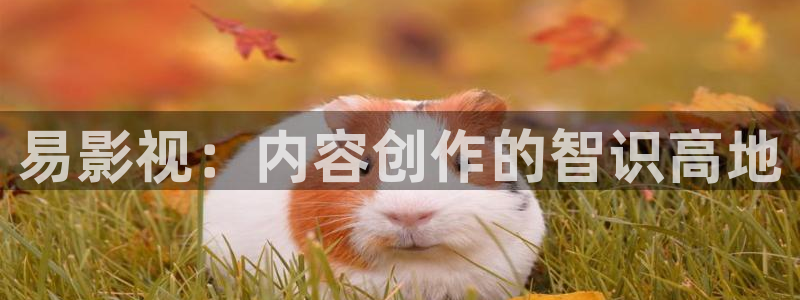 神马西瓜影院